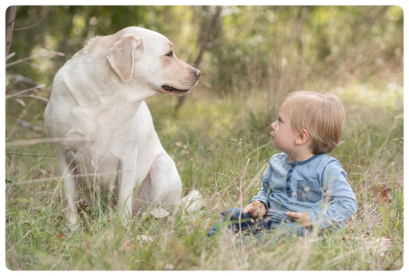 Blonde little boy looking at a white dog