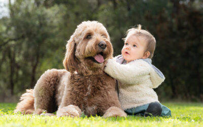 220604-Tam Faiman_112220_5420