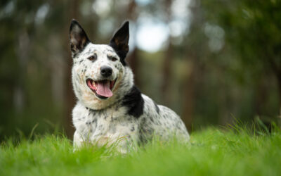 220911-Renee Field_120709_5818