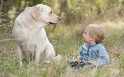 Including your dog in a family portrait session