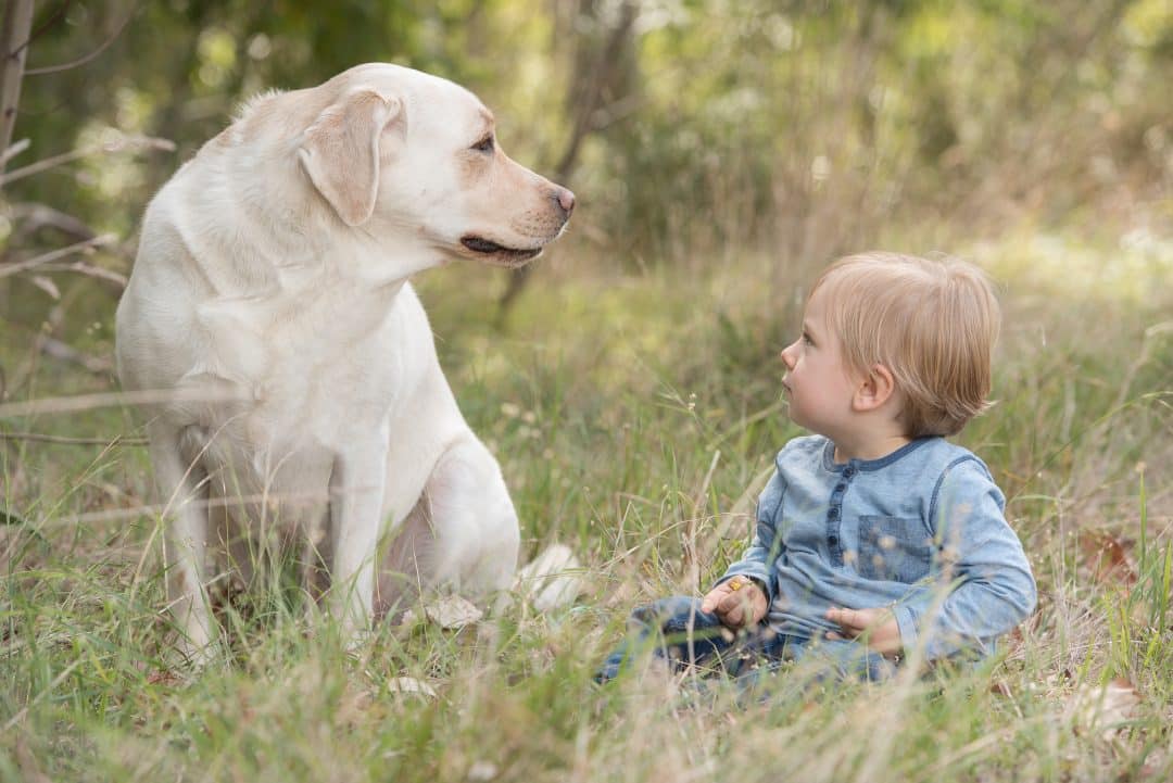 Including your dog in a family portrait session